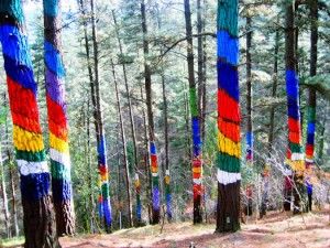 El bosque pintado