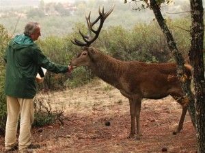 Vive entre animales en la Casa Rural Los Galápagos