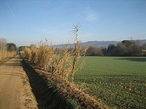 La ruta del Carrilet