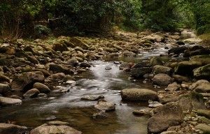 El valle de Orozko