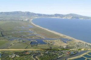 Un paseo por humedales