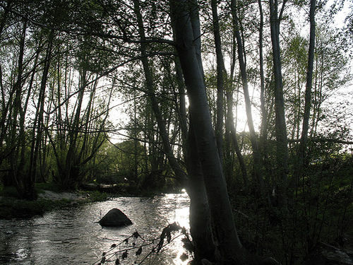 Río Alberche