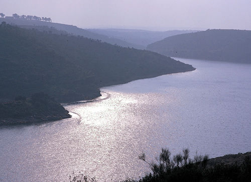 Pantano del Rumblar