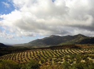 La escapada más dulce