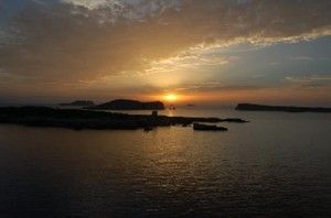 Ruta vinícola en Ibiza