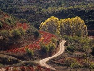 Parque Natural Hoces del Cabriel