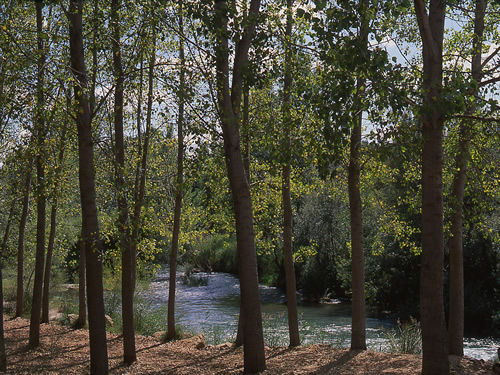 Una de las hermosas zonas del Parque Natural