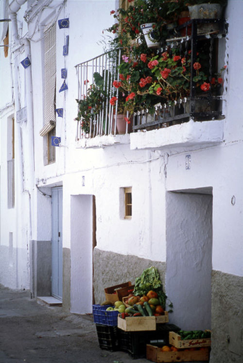 Detalle en la localidad de Lanjarón
