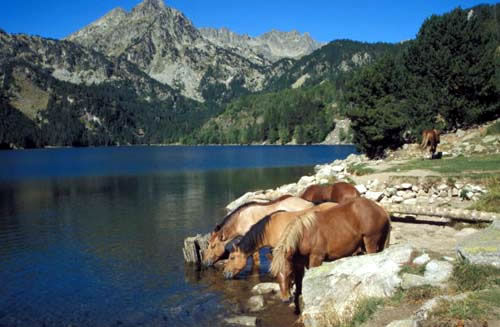 Paisajes de Cataluña