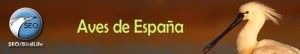 Los “nómadas del viento”