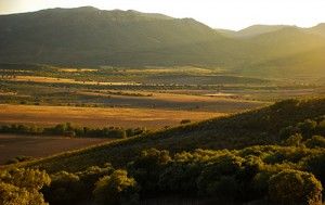 Parque Nacional de Cabañeros