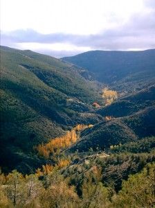 Actividades en los Parques Naturales de Andalucía