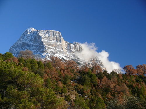 Pena Montanesca