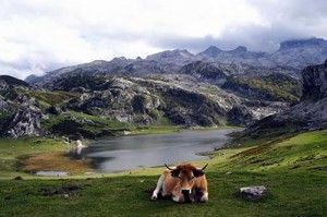 Guía del excursionista