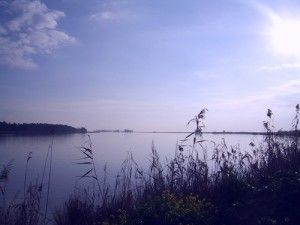 Las Fiestas del Arroz y el Cangrejo en Isla Mayor