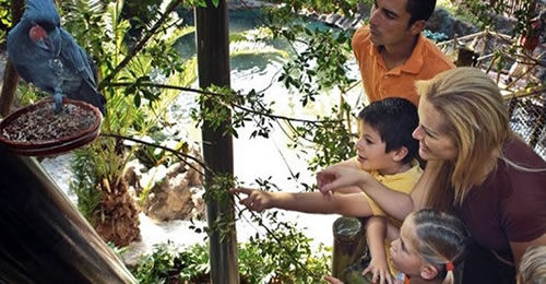 El Loro Parque de Tenerife