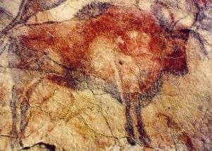 Bisontes en Palencia, de nuevo