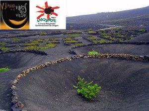 La V Semana de los Vinos del Volcán