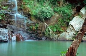El Parque Natural Los Alcornocales