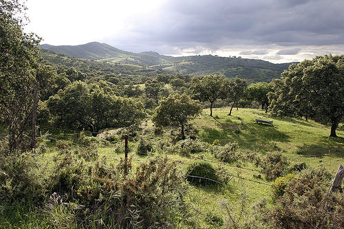 Parque Natural Sierra de Aracena y Picos de Aroche