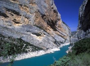 XX Congreso Español de Ornitología en Tremp