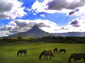 El Valle de Araquil y la comarca de Sakana