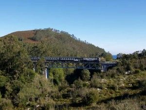 El tren de la Sidra