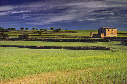 Comarca de La Segarra en Lleida