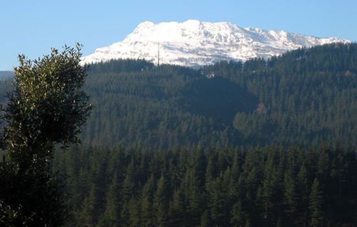 Parque Natural de Gorbeia