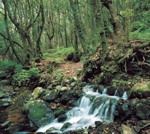 Día Internacional de los Parques Nacionales