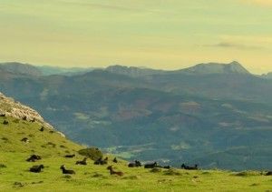 Parque Natural de Gorbeia
