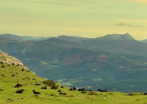 Parque Natural de Gorbeia