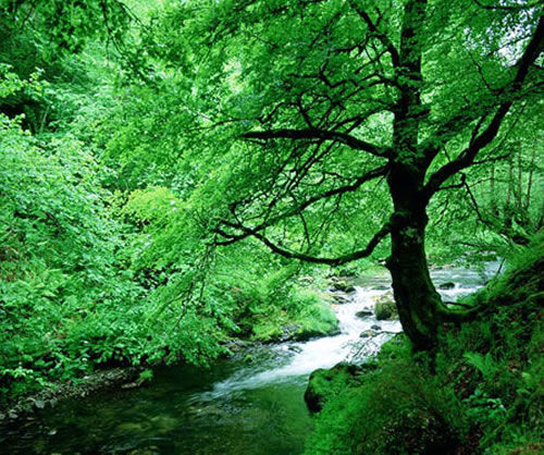 Red Natura 2000