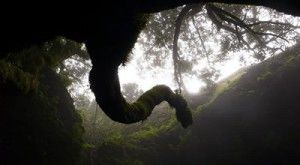Los 7 espacios protegidos de El Hierro