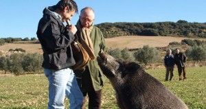 IX Feria de la Trufa en Navarra