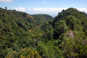 Turismo rural Puntallana