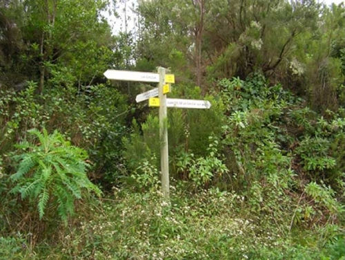 Turismo rural en La Palma