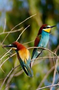 Descanso, ejercicio y naturaleza