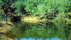 Parque Nacional de Cabañeros