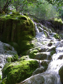 Nacimiento del río Cuervo Fernando Tellado