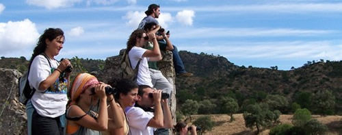 Proyectos de voluntariado 2011
