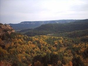 El rumor del agua, la ruta del Brogit de la Vall