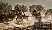 Concurso Fotografía Mundo Rural