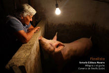 Concurso Fotografía Mundo Rural