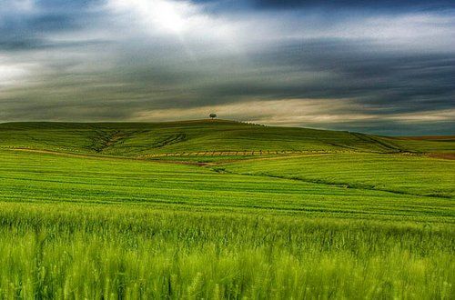 Concurso Fotografía Mundo Rural