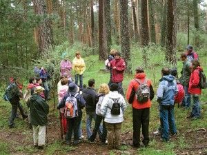 Excursiones didácticas por Valsaín