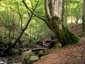 El sendero Altos Valles Ibéricos