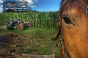 Ganadores del Concurso de Fotografía Rural 2011