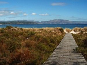 Los Caminos de Santiago por Galicia