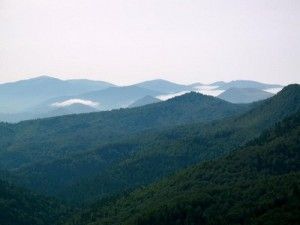 La Selva de Irati, oxígeno y agua de Navarra
